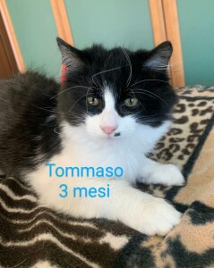 Tommaso 3 mesi